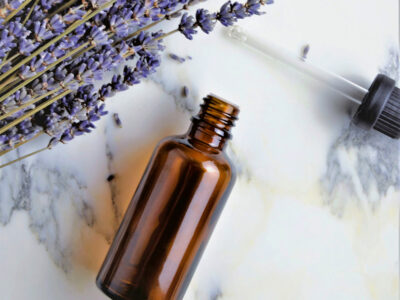 Inverno 2025/26 – La quintessenza della pianta