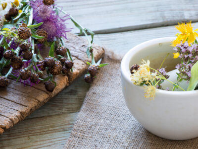 Primavera 2026 – Il potere delle piante