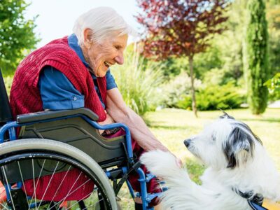 Primavera 2026 – Animali da terapia